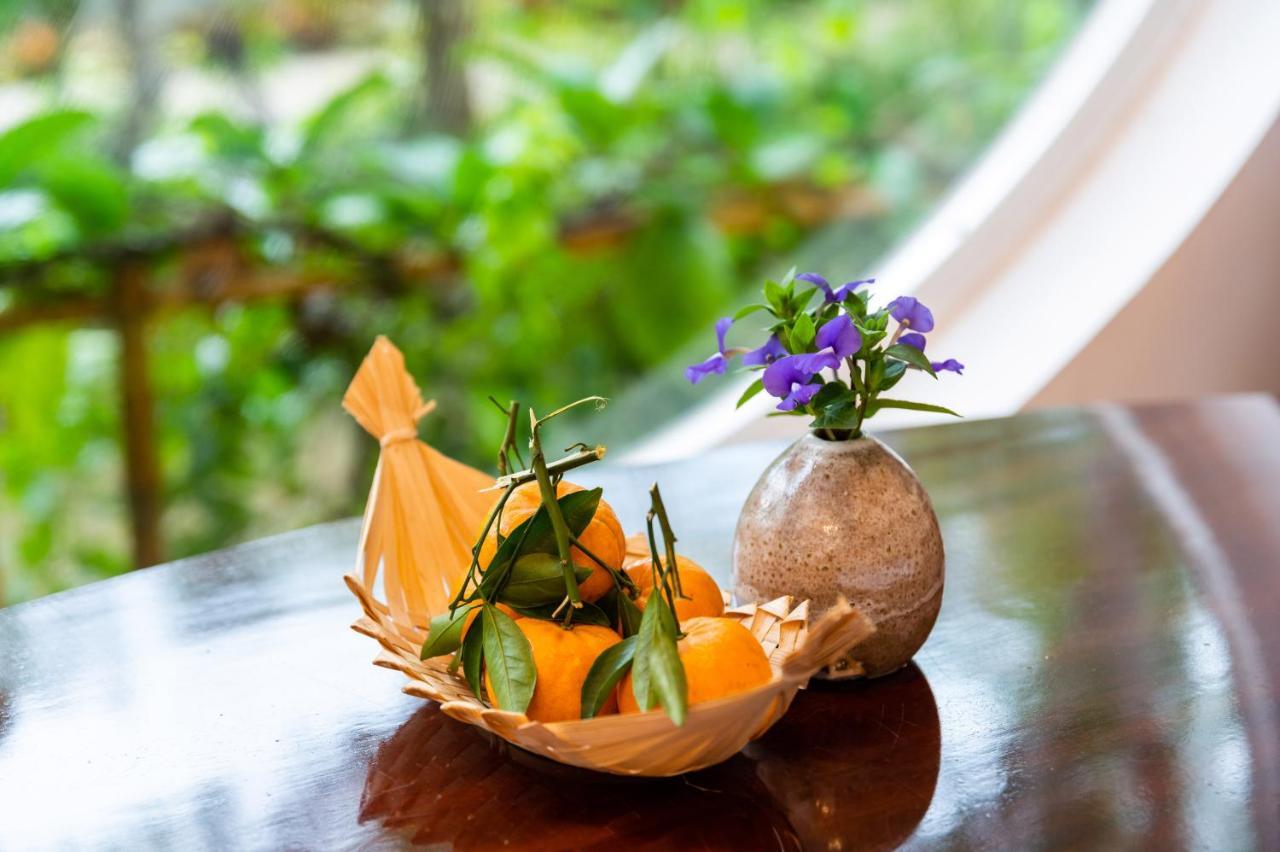 Binh Minh Eco Lodge 껀터 외부 사진
